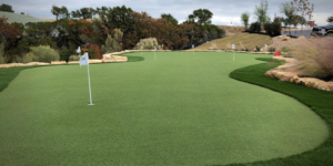 2. mimics a true putting green.webp