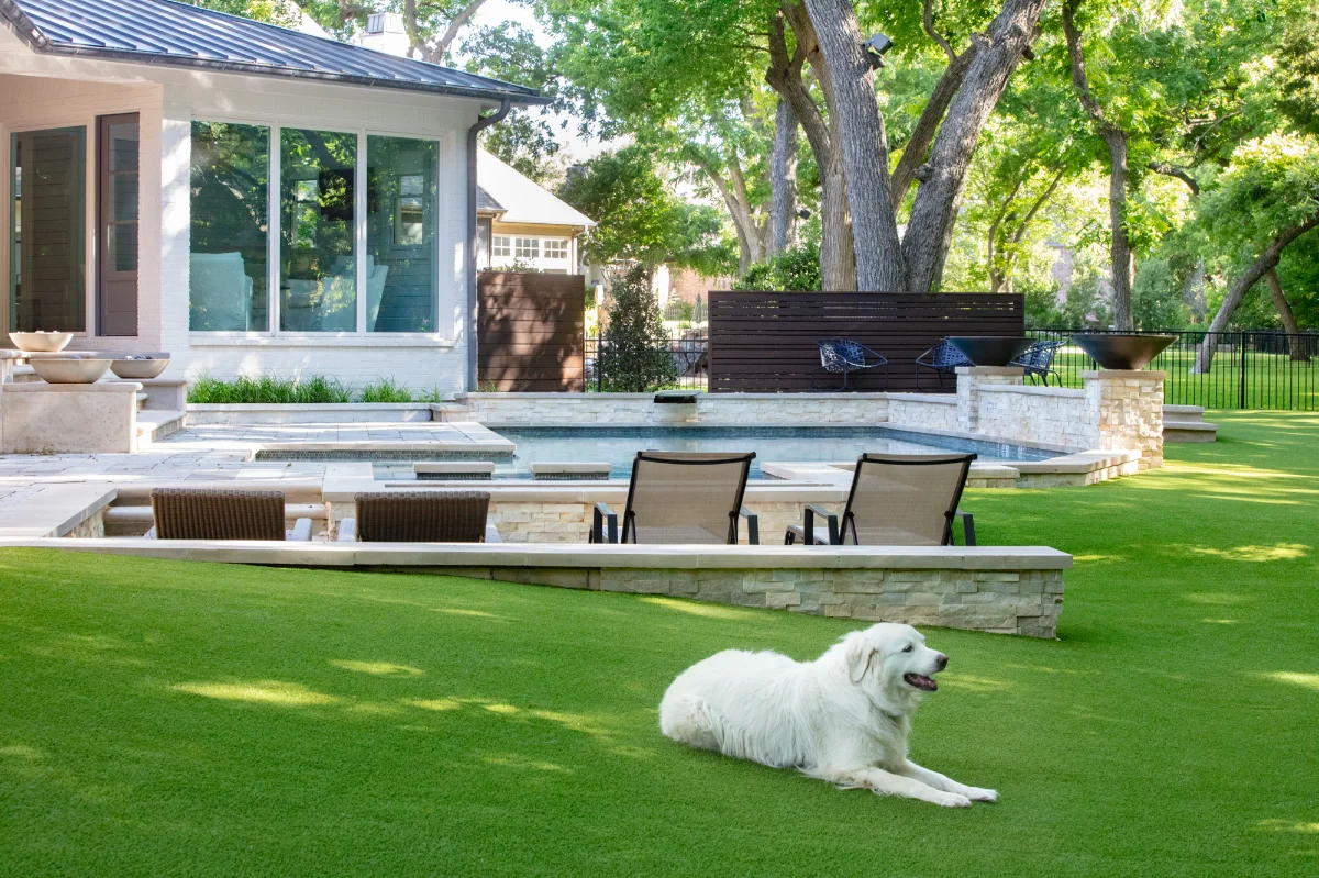 Pet Turf — Clean, Safe & Paw-Friendly Artificial Grass