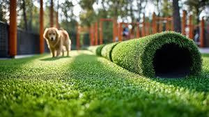 images 5 4.webp