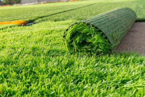 istockphoto 523601107 612x612 1.webp
